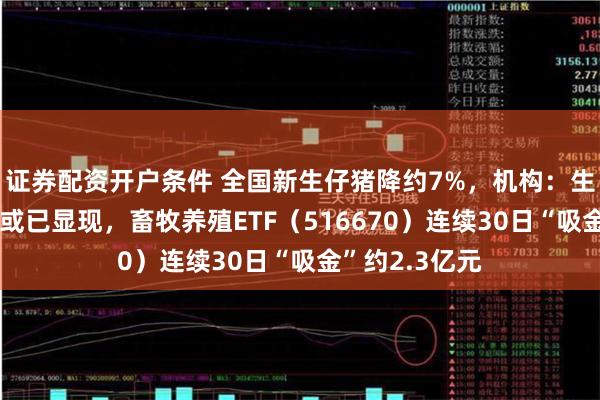 证券配资开户条件 全国新生仔猪降约7%，机构：生猪板块β机会或已显现，畜牧养殖ETF（516670）连续30日“吸金”约2.3亿元