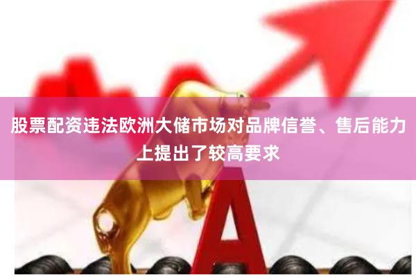 股票配资违法欧洲大储市场对品牌信誉、售后能力上提出了较高要求